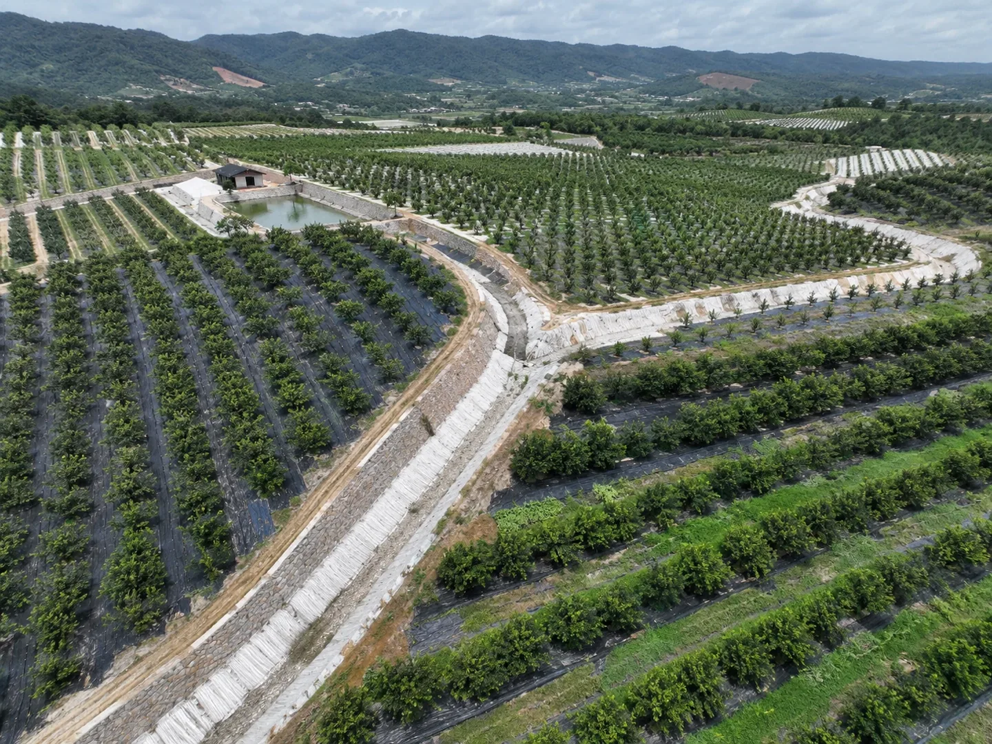 Agriculture & Aquaculture